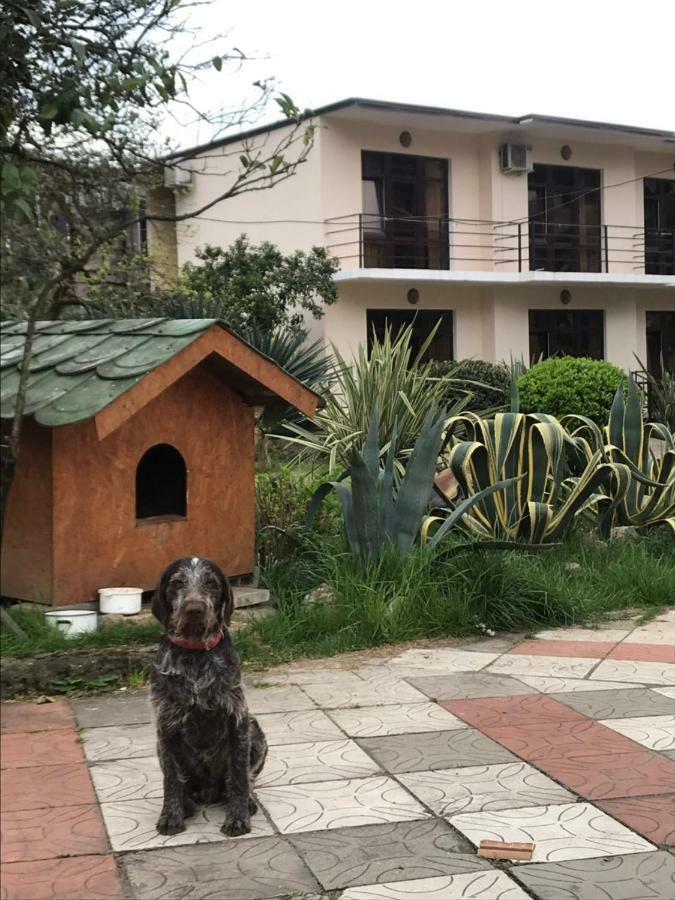 Guest House Dali ガグラ エクステリア 写真